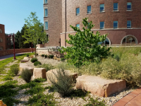 Blocks at the University of Denver