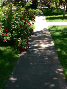 old walkway